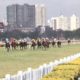 Mumbai Races:Analysis and Tips 12 03 20