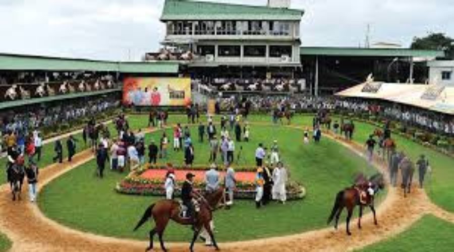 Positano Steals the Show in the Maharaja’s Cup