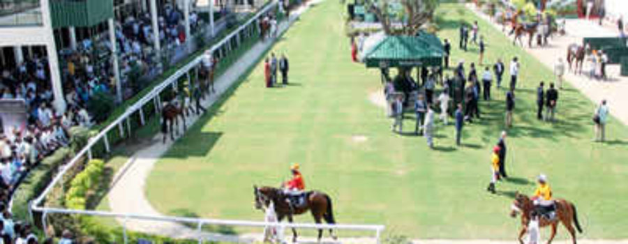 Chennai Race Tips with Complete Analysis 04 02 2021