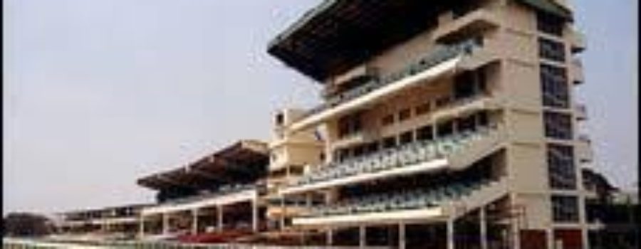 Chennai Race Analysis and Trackwork 11 11 23