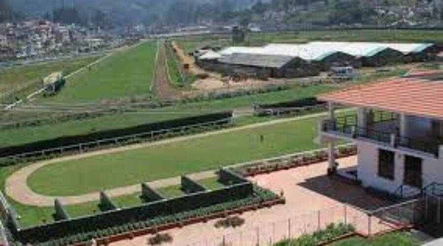 Ooty Derby Day Race Analysis and Trackwork 12 05 24