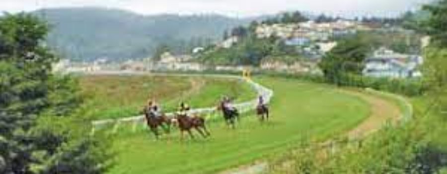 Ooty Race Analysis and Trackwork 21 04 24