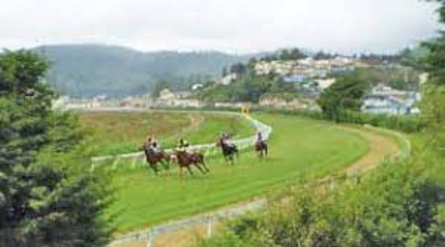 Ooty Race Analysis and Trackwork 01 06 24