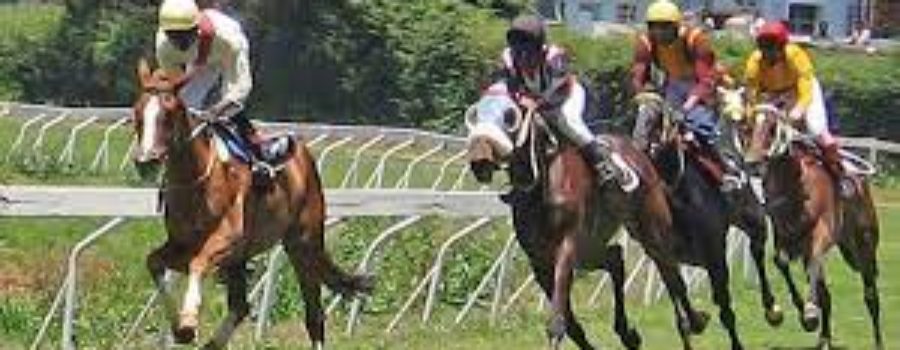 Ooty Race Analysis and Trackwork 20 04 24