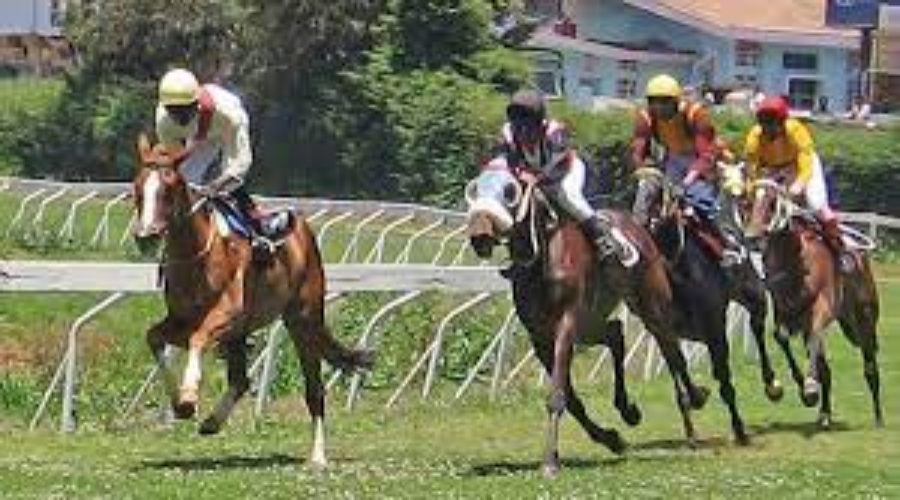 Ooty Race Analysis and Trackwork 28 04 24
