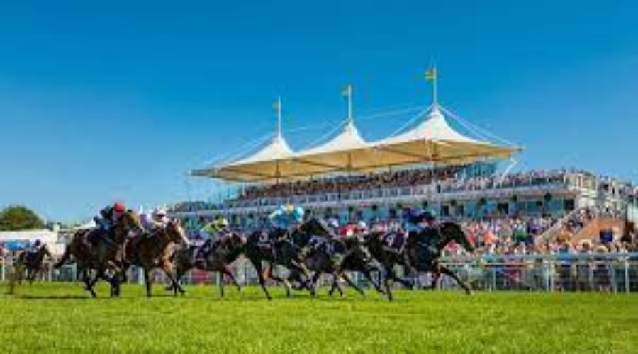 GOODWOOD RACE ANALYSIS_29 07 2021