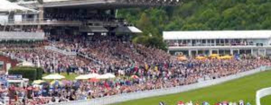 Good Wood Race Analysis  22 09 21