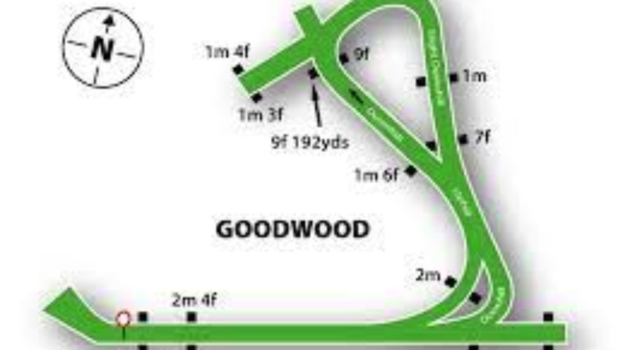 GOODWOOD Race Tips Without Analysis 31 07 2021