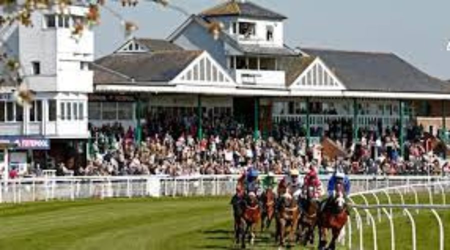 Cattterick bridge Race Analysis and Timeform Racecard 16 08 21