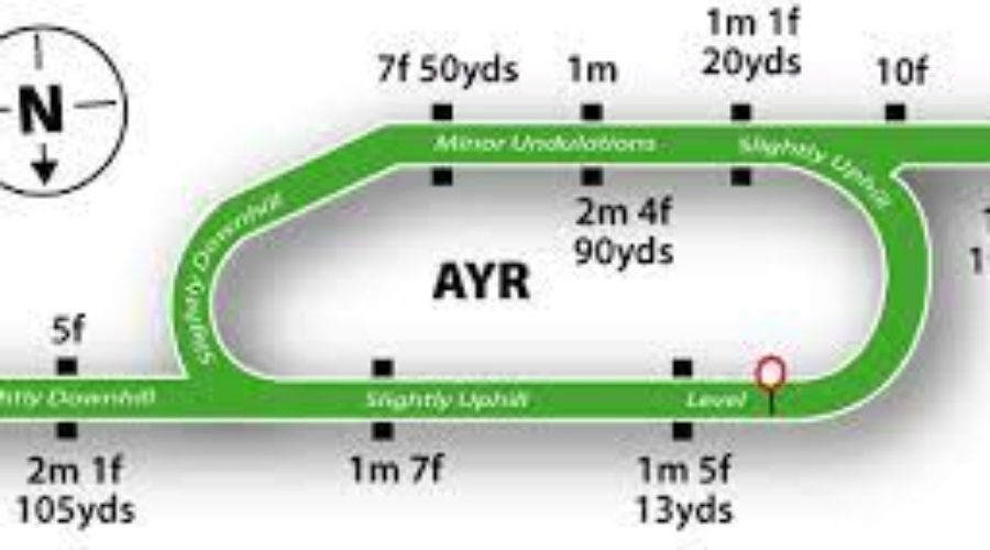AYR RACE ANALYSIS AND TIPS AND TIME FORM RACE CARD PDF