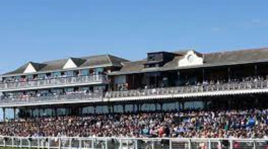 AYR  Race Analysis  and Time form Race Card