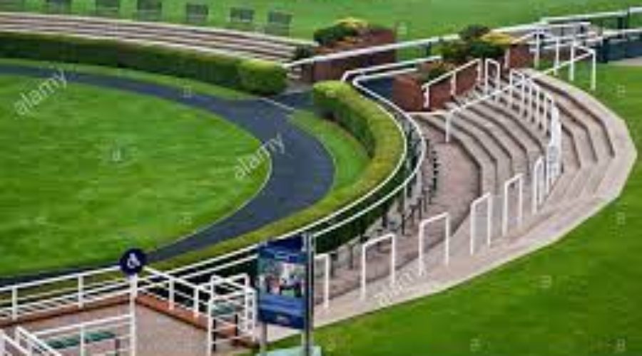 NEW MARKET ANALYSIS AND TIMEFORM RACE CARD FOR YORK AND NEW MARKET