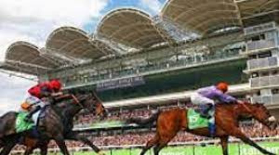 New Market Analysis and Time form Race card
