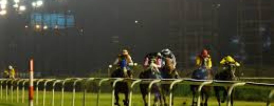 Delhi Race Analysis and Tips 26 04 22