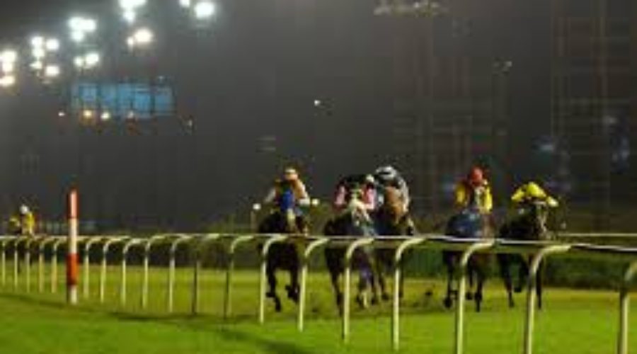 Delhi Race Analysis and Tips 24 04 25