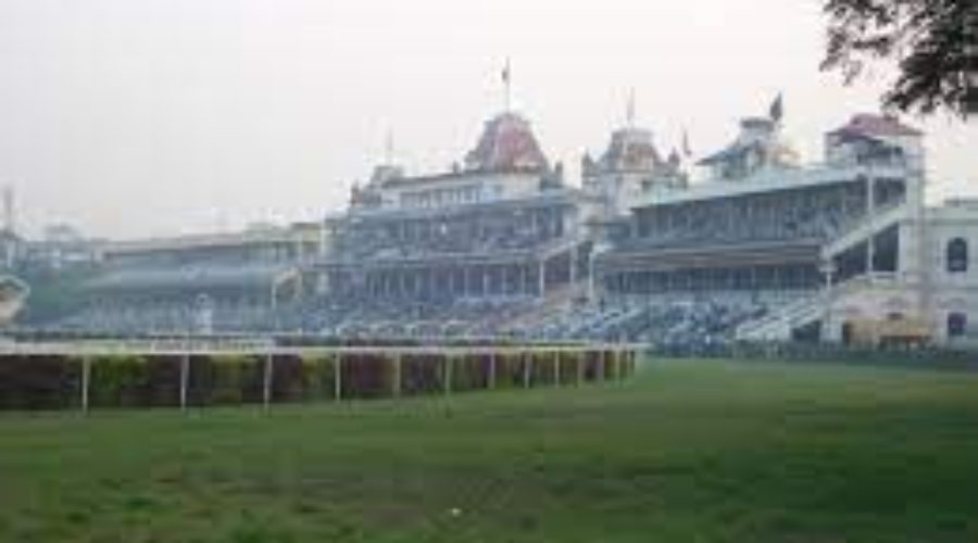 Kolkata Analysis Download