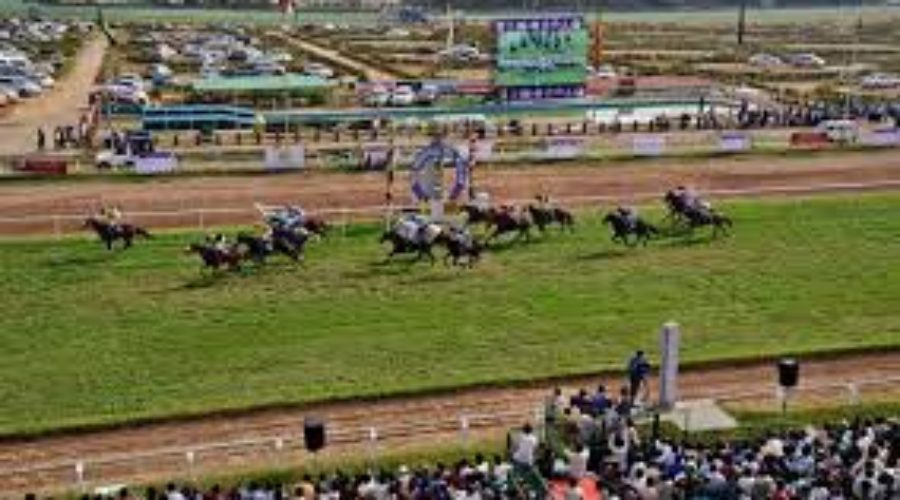 Bangalore Race Analysis and Trackwork 18 11 23