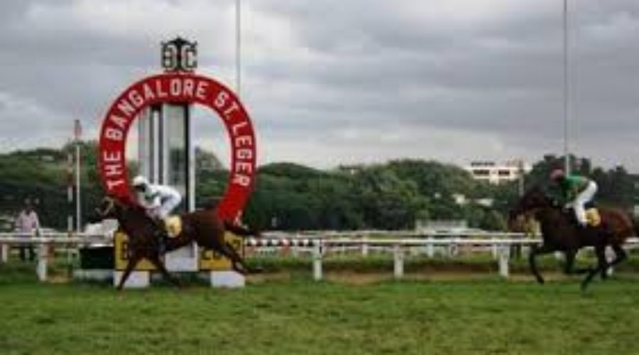 Rosario Redeems, Sovereign King Surprises, and Punters Get a Reality Check