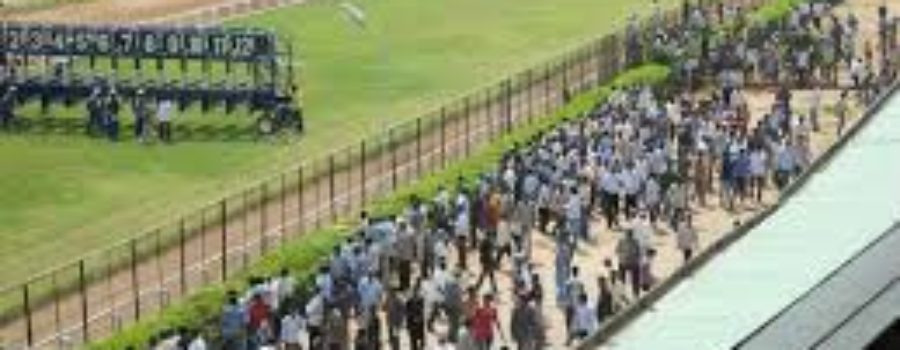 Bangalore Race Analysis and Trackwork 25 02 22