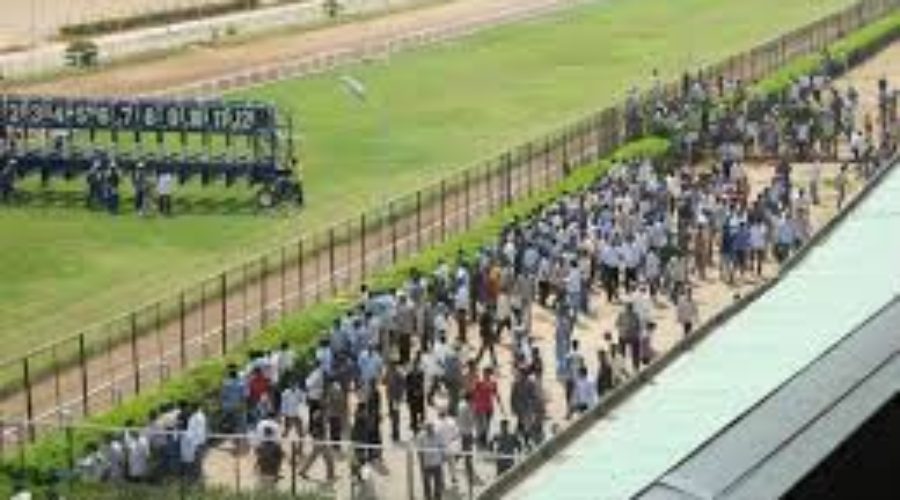 Bangalore Race Analysis, Tips and Trackwork