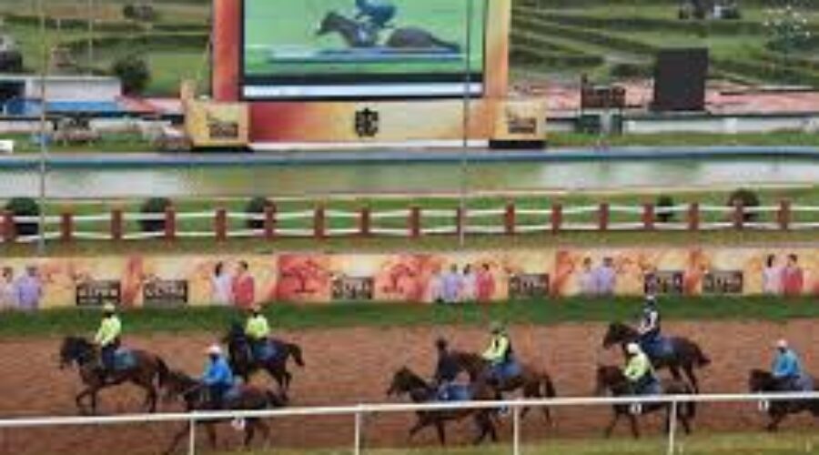 Big Eid Bonanza for Punters: A Memorable Day at the Races