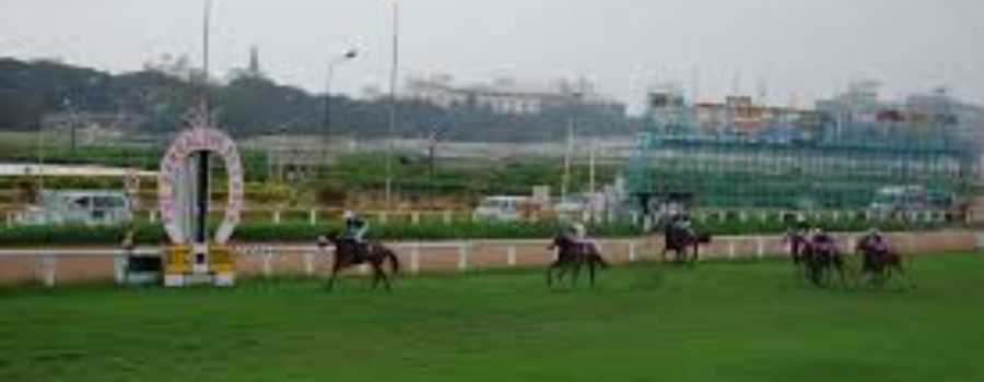 Bangalore Race Analysis and Trackwork 12 11 23