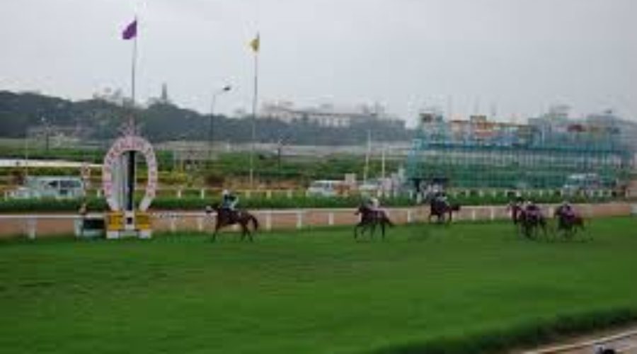 Bangalore Summer Racing Heats Up: Fynbos Leads the Charge on June 15