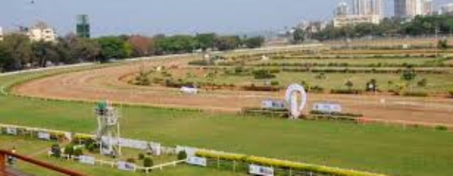 Bangalore, Kolcatta Race Analysis and Trackwork 03 12 22