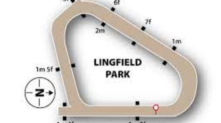 LINGFIELD RACE ANALYSIS AND TIPS 31 12 21