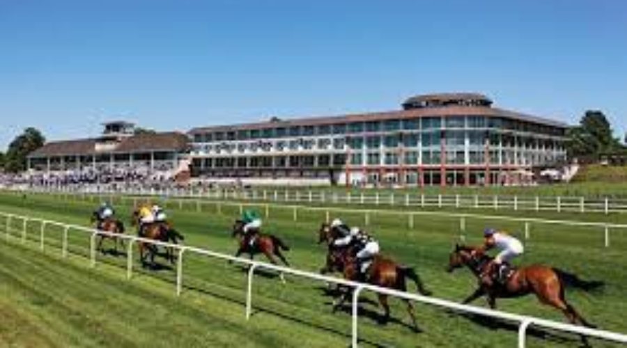 Lingfield Course and Weather Info