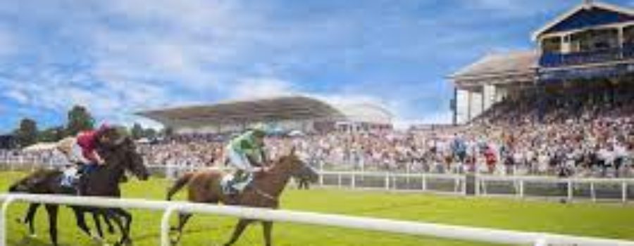 Chennai Race Analysis and Trackwork 01 12 22