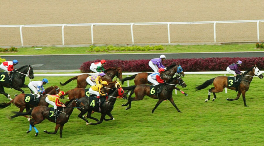 Race Day Surprises and Reversals: A Shocker for Punters