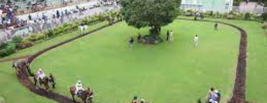 Hyderabad Race Tips, Analysis and  Trackwork 29 01 25