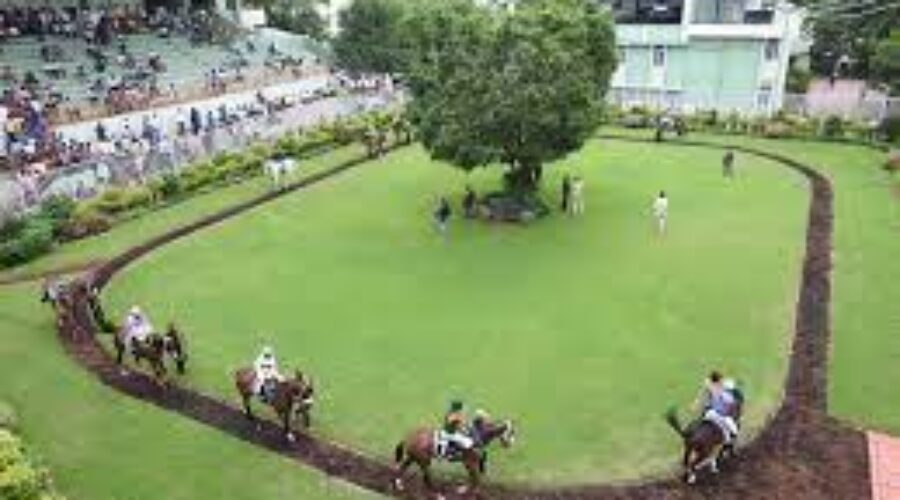 Chennai and Hyderabad Race Analysis and Trackwork 22 Sep 25