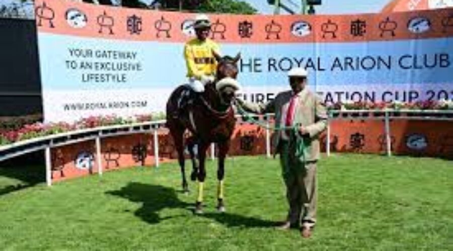 Delhi Race Tips and Analysis for the Concluding Day Races