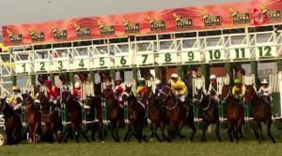 Delhi Race Analysis, Trackwork 13 04 25