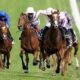 Delhi Race Analysis, Trackwork 27 04 25