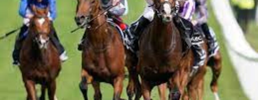 Delhi Race Analysis, Trackwork 27 04 25