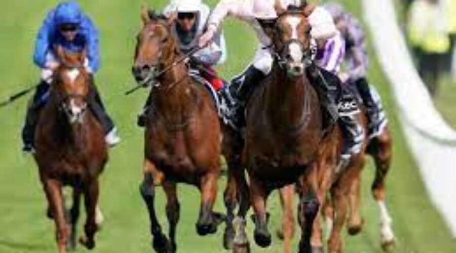 Delhi Race Analysis, Trackwork 27 04 25