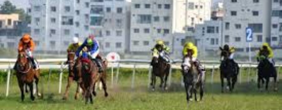 Hyderabad Race Tips, Analysis and  Trackwork 27 01 25