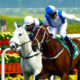 Bangalore Race Analysis Tips and Trackwork 15 Jun 25