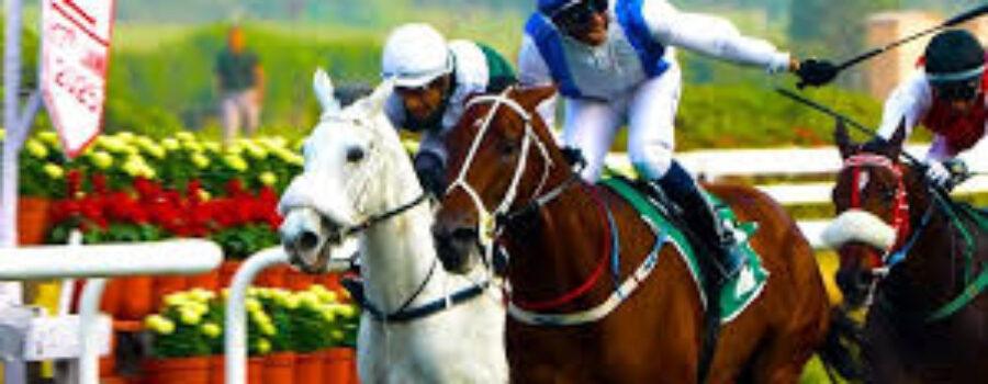 Bangalore Race Analysis and Trackwork 09 11 25