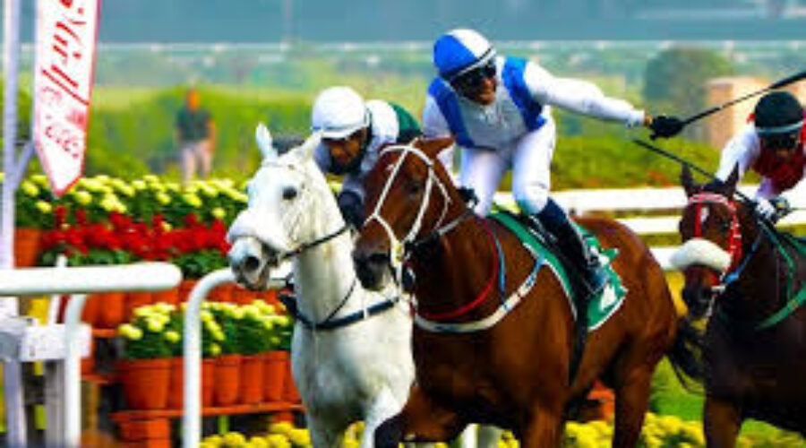 Bangalore Race Analysis Tips and Trackwork 15 Jun 25