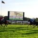 Bangalore Race Analysis and Trackwork 08 June 25