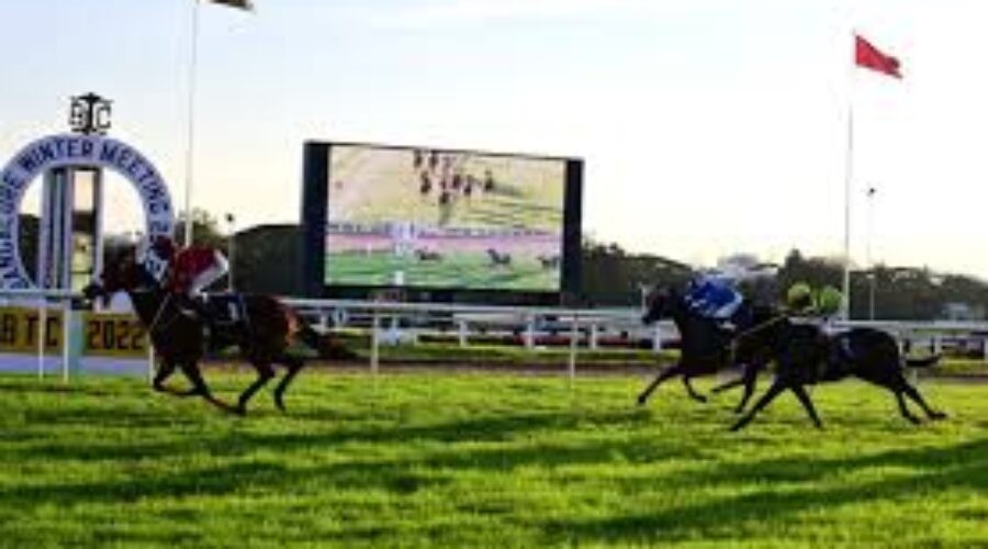 Bangalore Race Analysis and Trackwork 08 June 25