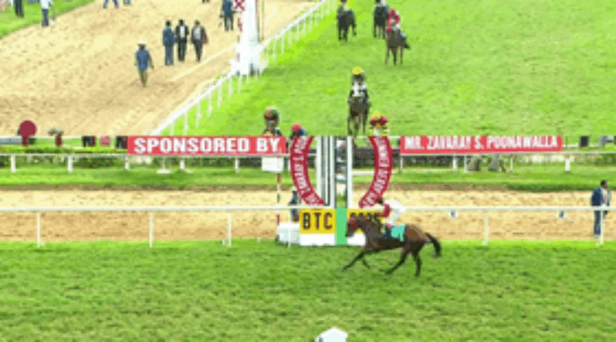 Bangalore Analysis and Tips 29 11 25