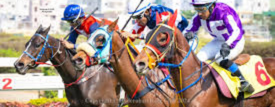 Hyderabad Race Analysis, Tips and Trackwork 15 09 15