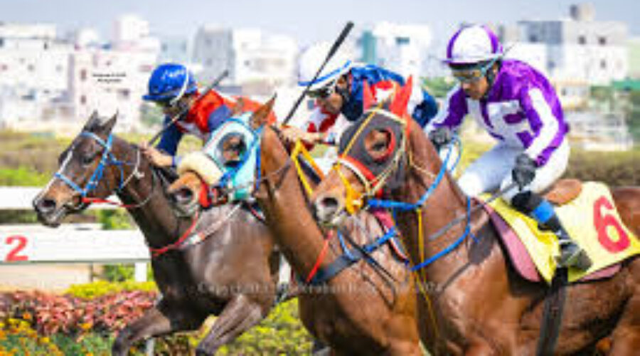 Hyderabad Race Analysis, Tips and Trackwork 15 09 15