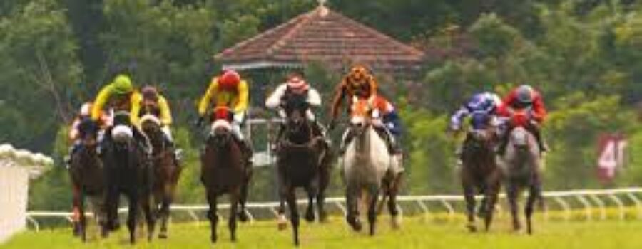 Pune Race Analysis , Tips and Trackwork on 8 Aug 26