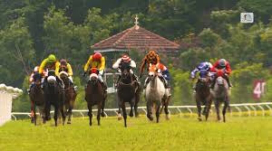 Pune Race Analysis,Tips&Track work 02 11 25